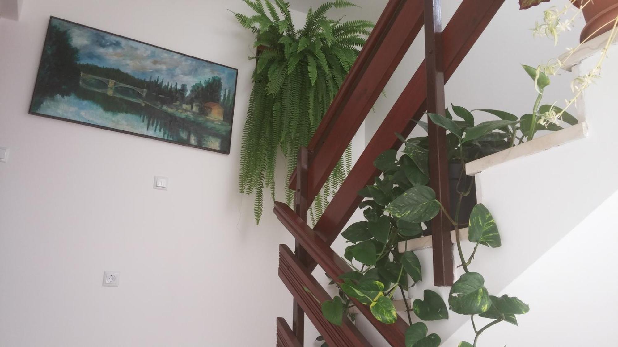 Apartments Roncevic Zadar Rom bilde