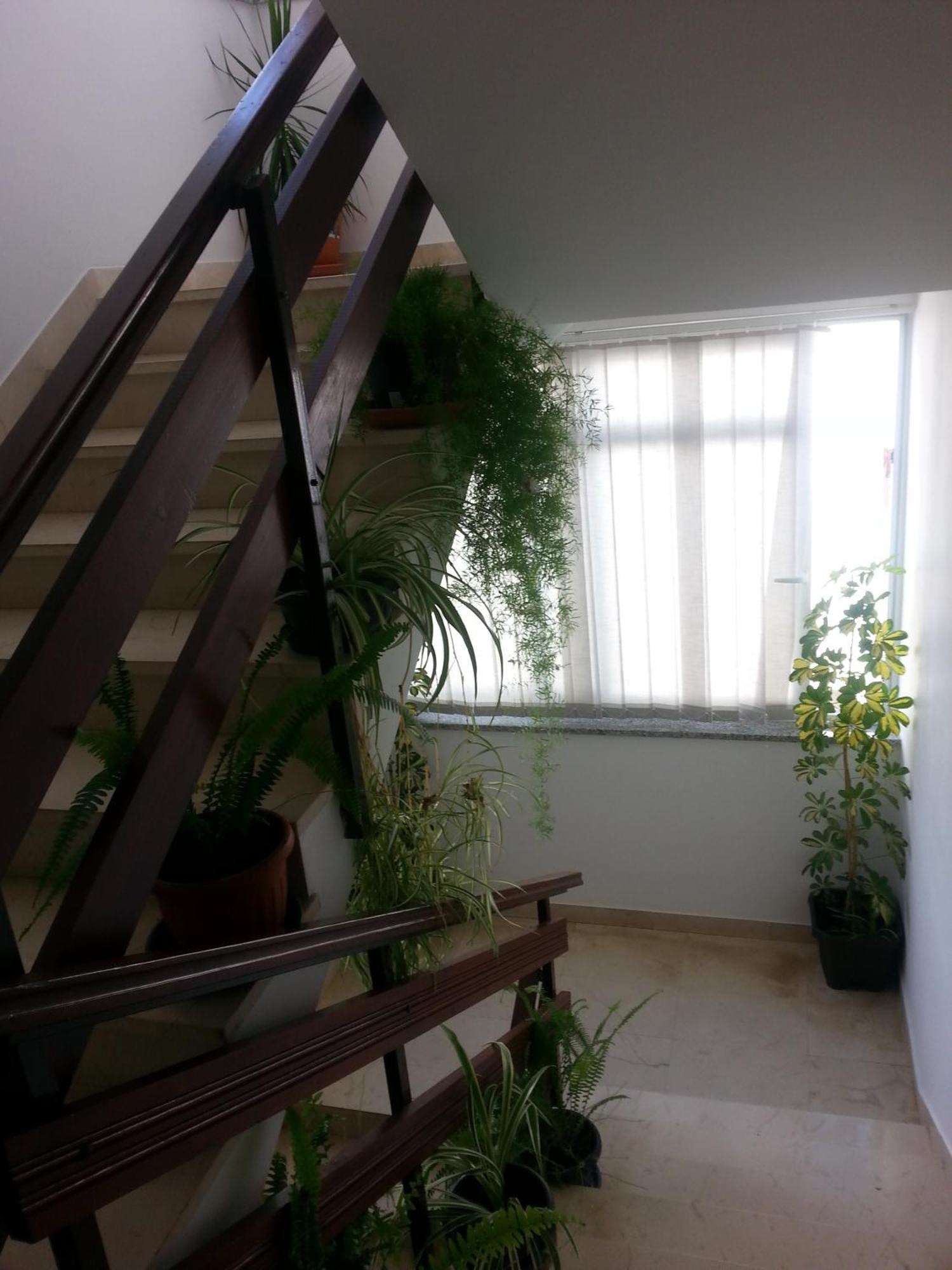 Apartments Roncevic Zadar Eksteriør bilde