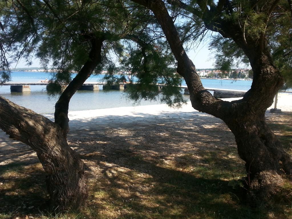 Apartments Roncevic Zadar Eksteriør bilde